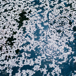 黄色激情的片片片
